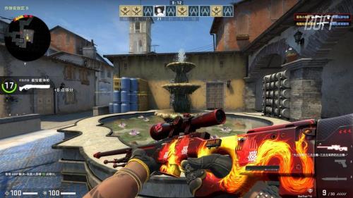 csgo野火贴什么印花