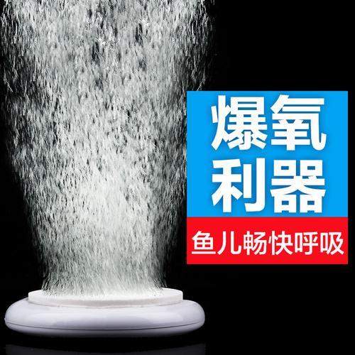 鱼缸没有增氧机能活多久