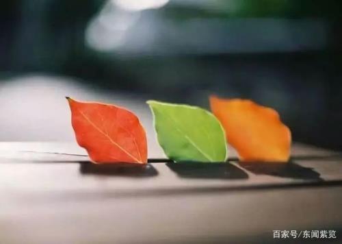有态度的活着的意思