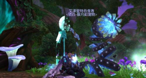 影月谷有什么稀有宝宝