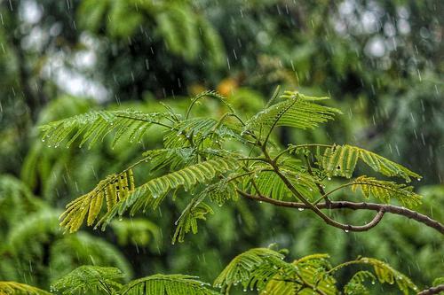 夏天下多久雨才降温