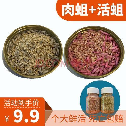 鱼饵生虫了还能用吗