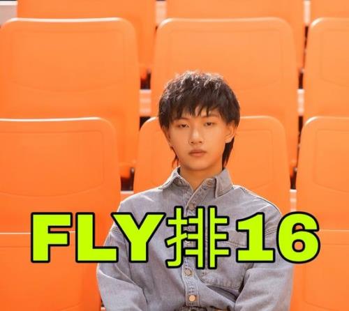 fly有多高
