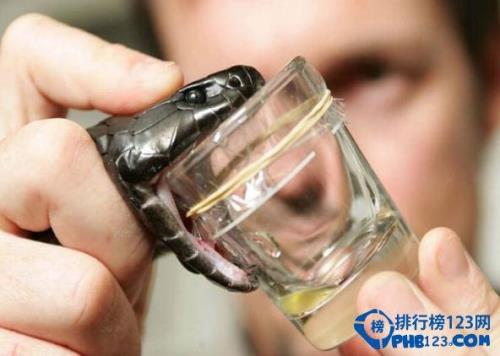 蛇的头被砍下还会不会喷射毒液