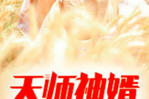 天降神婿结局是什么