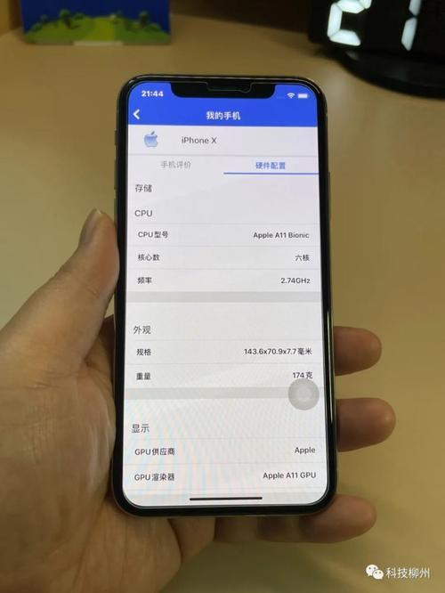 iphonex64g能下载什么