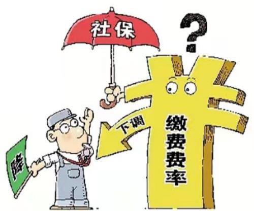月光补贴金是真的吗