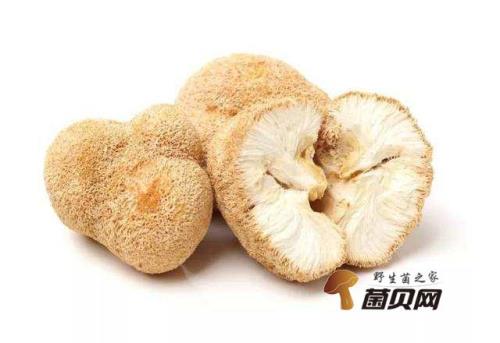 新鲜菌菇保质期多久