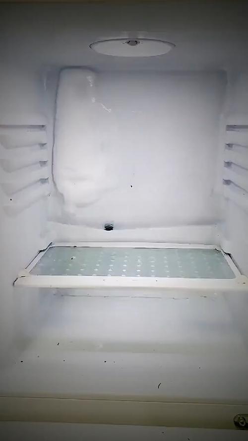 冰箱排水槽的水要全部倒掉吗