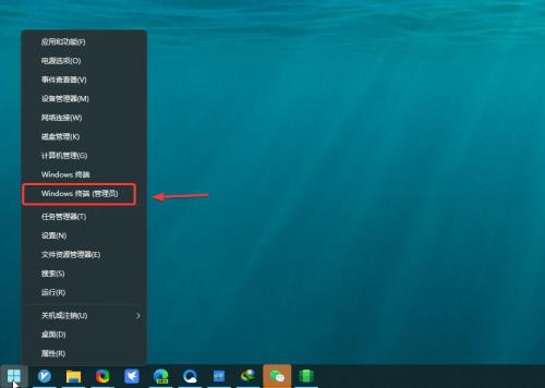 盗贼之海支持win11吗