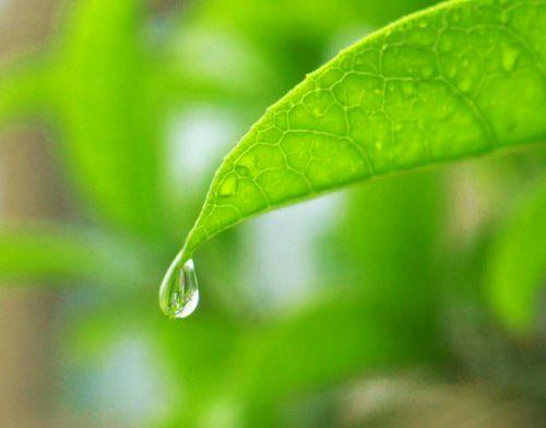 听雨听歌文案