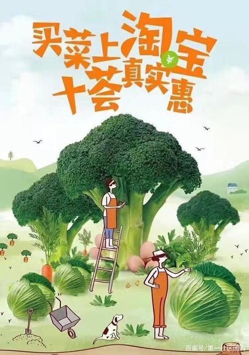 菜团团购入驻条件