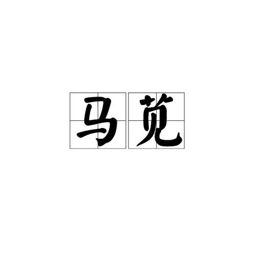 带有马字的词语有哪些