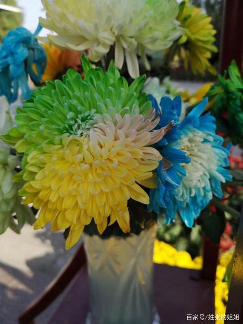 菊花放冰箱可以保存多久
