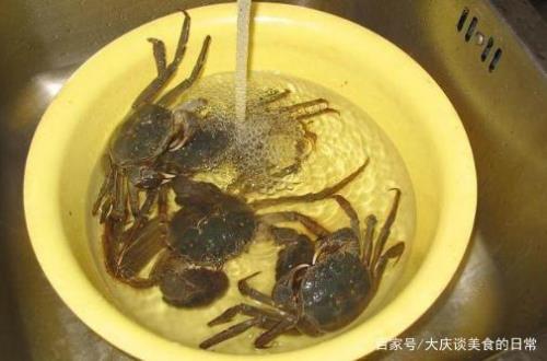 螃蟹如何自我保护