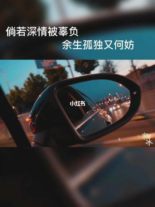 人这一生多少真情被辜负原唱