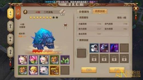 龙龟开局加什么技能