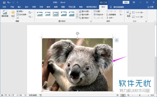 word如何插入照片和方框一样大