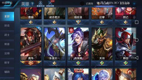 王者英雄暂不可使用是么意思