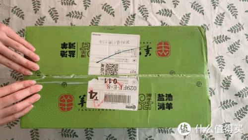 寄羊肉用什么快递
