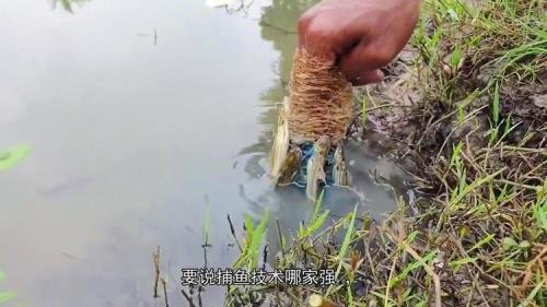 天天钓鱼鸭子怎么获得