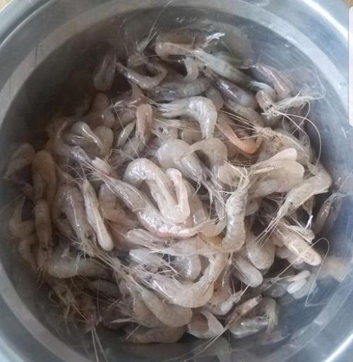 河虾怀孕什么样子