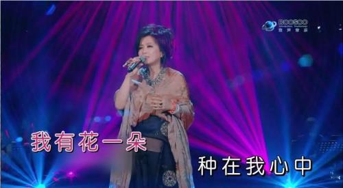 花为谁挽留歌词