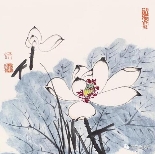 小荷医典是真的好吗