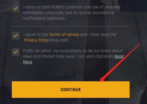 pubglite停服后还能登么