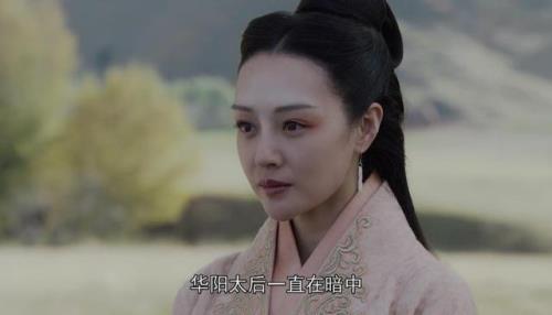 大秦赋芈华谁演的