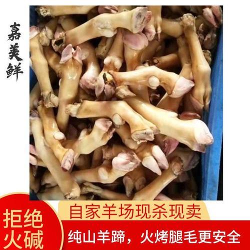 羊会换蹄子吗