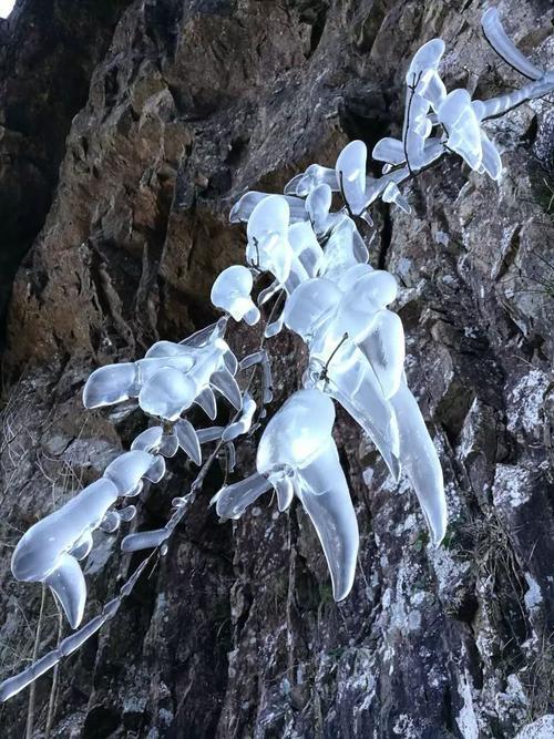 遇境的雪洞什么时候开