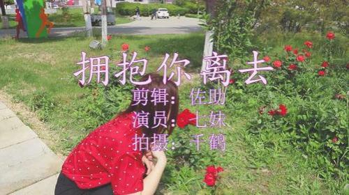 歌词里的如痴如醉是什么歌