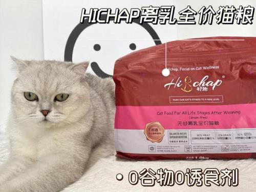 猫粮泡奶方法