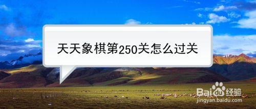 天天象棋山顶赛怎么参加