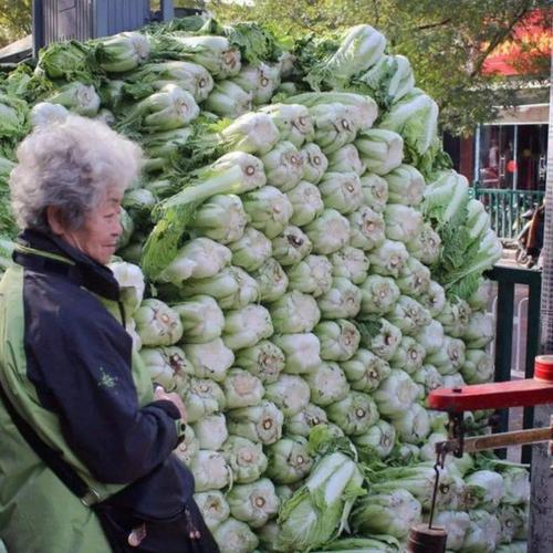 300斤的物体有什么