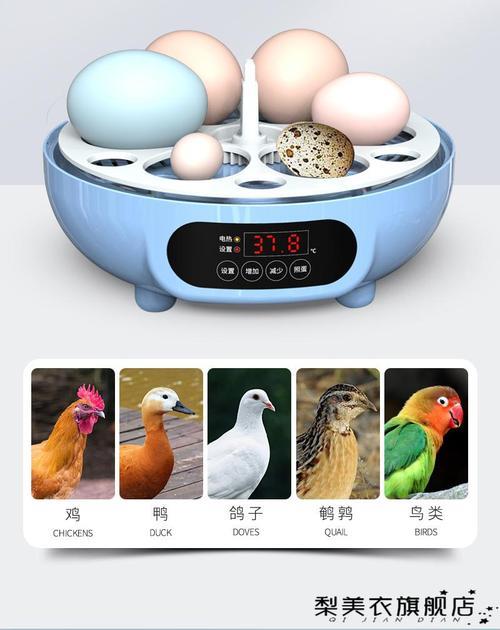 孔雀水床孵化第几天翻蛋