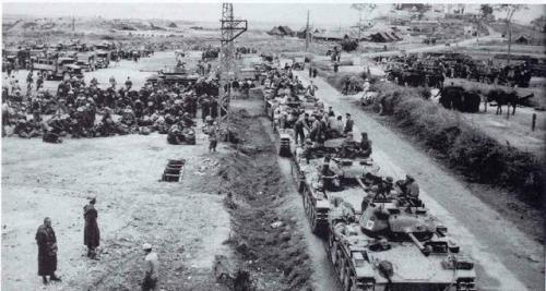 1961年发生的大事