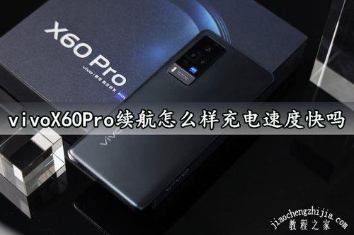 vivo手机充电十分钟多少格电