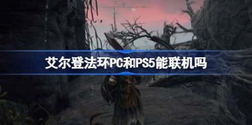 艾尔登法环ps5秘籍
