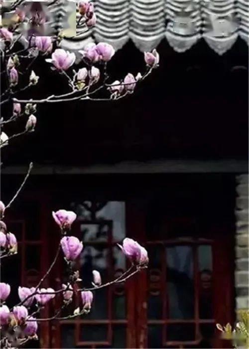 自静自安的经典语录