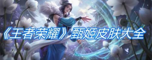 大副皮肤哪个手感好
