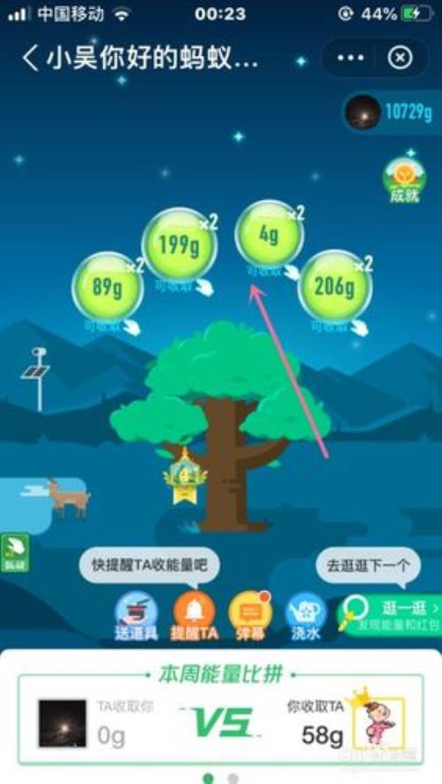 蚂蚁森林90克能量是什么
