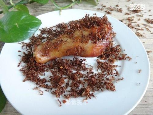 蚂蚁几天吃一次饭