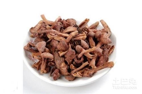 松蘑怎么泡发
