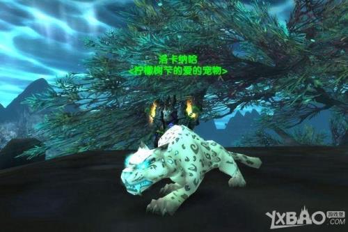 魔兽世界80级哪里有80级宝宝