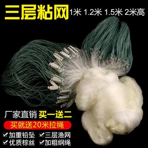 丝网捕鲢鳙多久可以收网