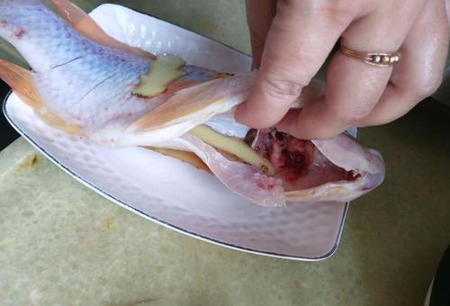 钓彩虹鲷的饵料配方