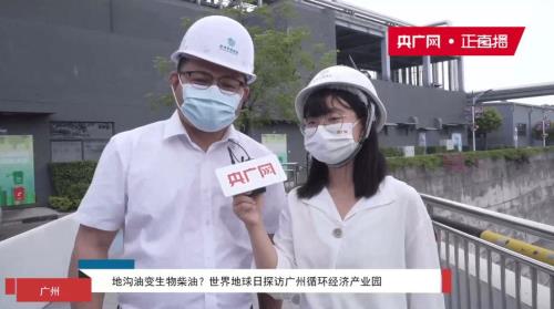 郎坤少嫣是什么小说