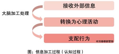 双ip是什么意思
